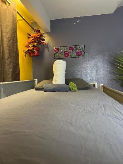 Auberge PVT Hostel — photo 39